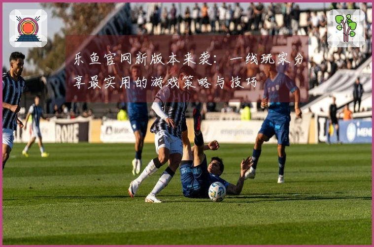 乐鱼官网新版本来袭：一线玩家分享最实用的游戏策略与技巧