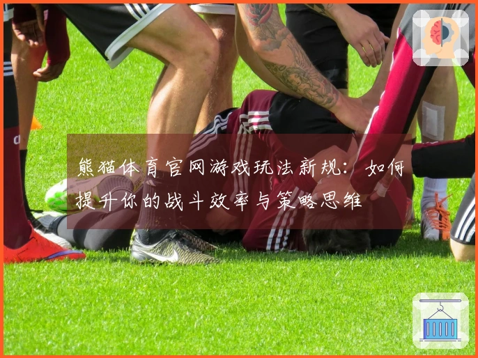 熊猫体育官网游戏玩法新规：如何提升你的战斗效率与策略思维