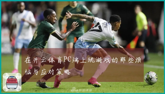 在开云体育PC端上玩游戏的那些烦恼与应对策略