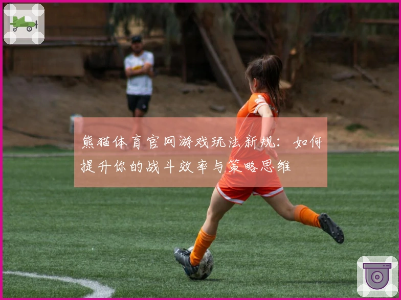 熊猫体育官网游戏玩法新规：如何提升你的战斗效率与策略思维
